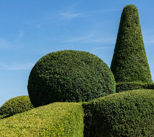 Découvrir les plus beaux jardins japonais à paris pour apaiser l'esprit