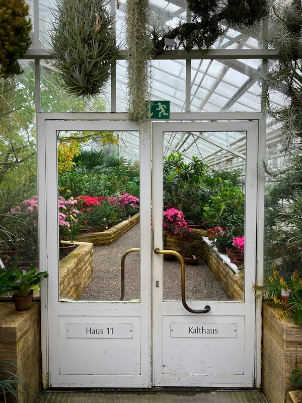 Optimisez vos cultures avec le led horticole professionnel